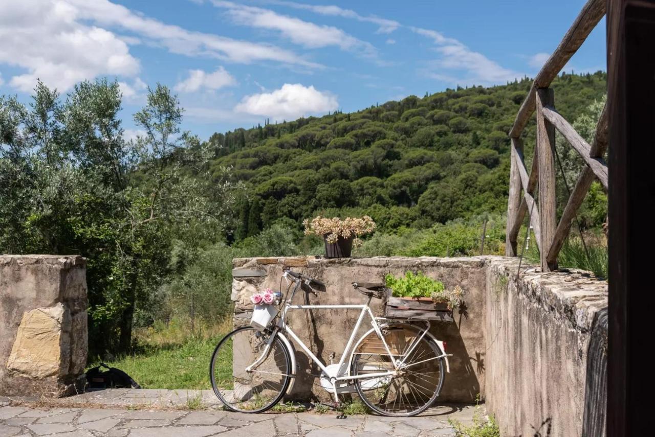 B&B Le Torri Di Firenze Fiesole Ngoại thất bức ảnh