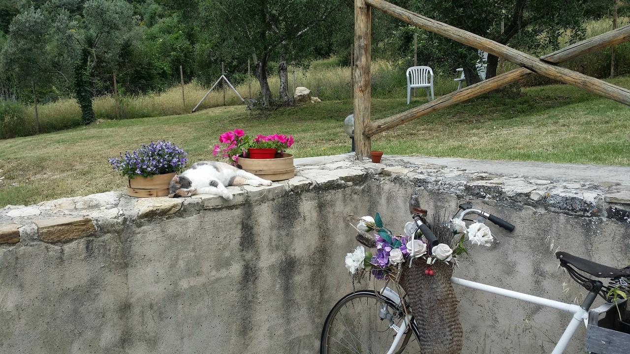 B&B Le Torri Di Firenze Fiesole Ngoại thất bức ảnh