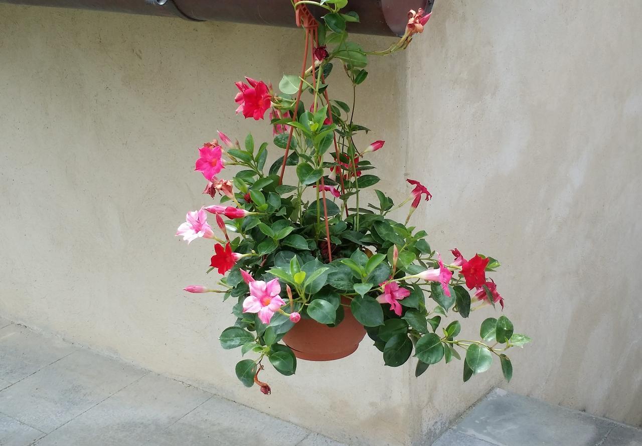 B&B Le Torri Di Firenze Fiesole Ngoại thất bức ảnh